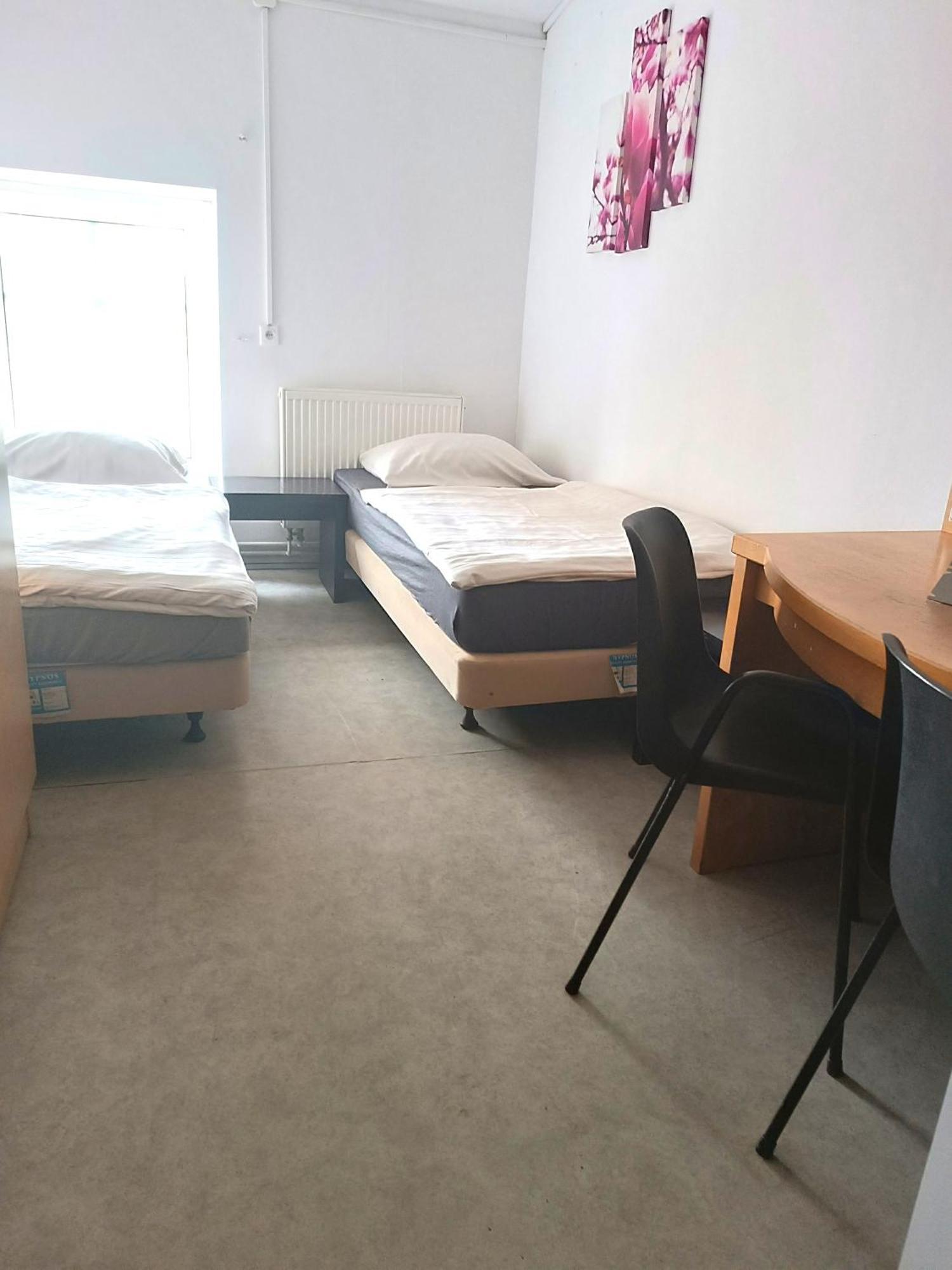 Hostel Krosnienska 12 Ζιελόνα Γκόρα Εξωτερικό φωτογραφία